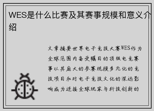 WES是什么比赛及其赛事规模和意义介绍